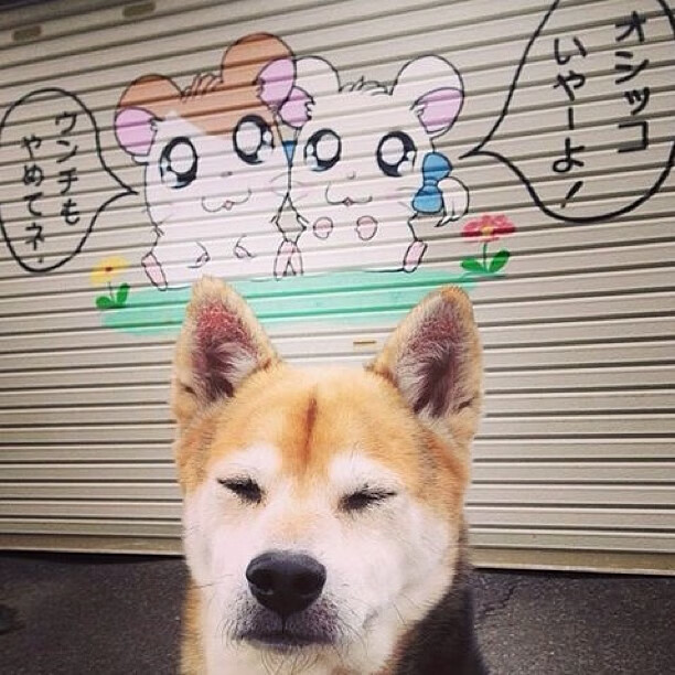 开云体育入口-公牛在元宇宙举办球迷虚拟签售会，火爆异常，公牛体育